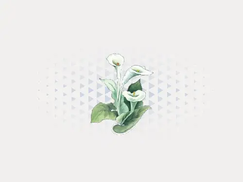 循环系统患儿课件