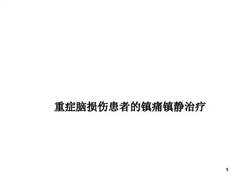 重症脑损伤患者镇痛镇静治疗