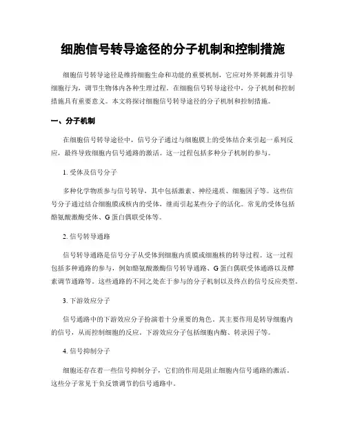 细胞信号转导途径的分子机制和控制措施
