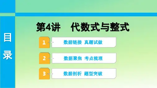 中考数学专题复习第4讲 代数式与整式