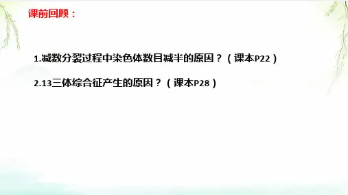 52染色体变异课件高一下学期生物人教版必修2