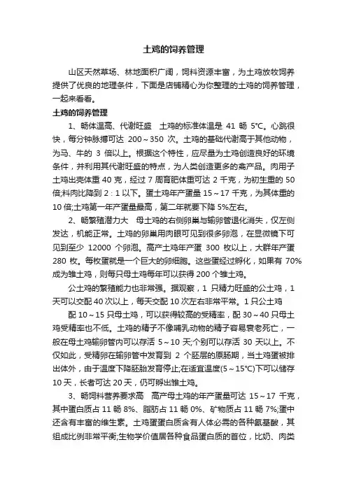 土鸡的饲养管理