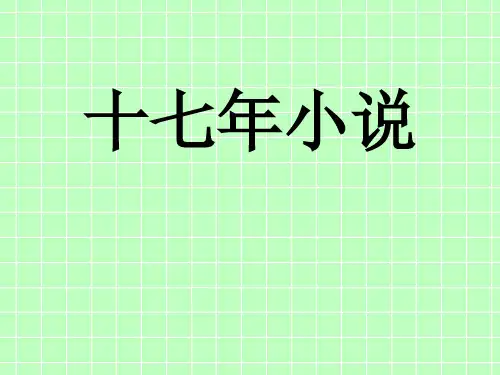 十七年小说 主流小说