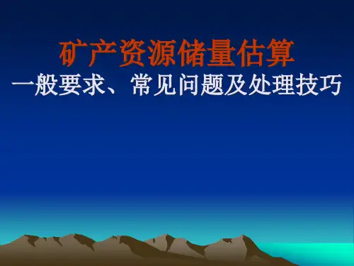 矿产资源储量估算 一般要求、常见问题及处理技巧