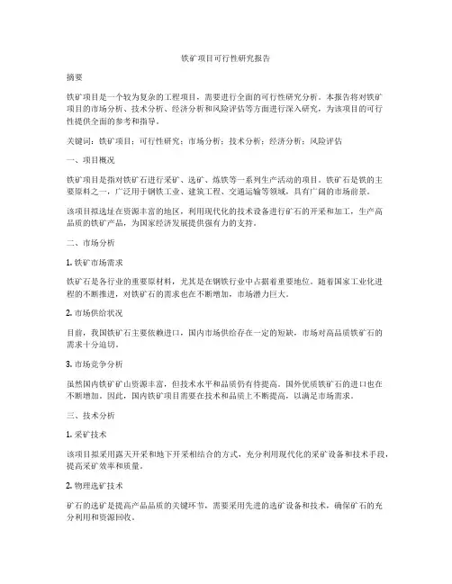 铁矿项目可行性研究报告