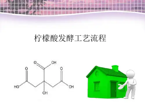 柠檬酸发酵原理