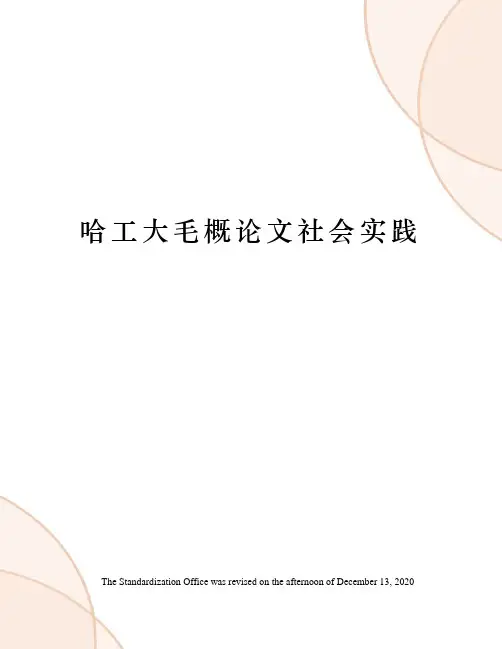 哈工大毛概论文社会实践