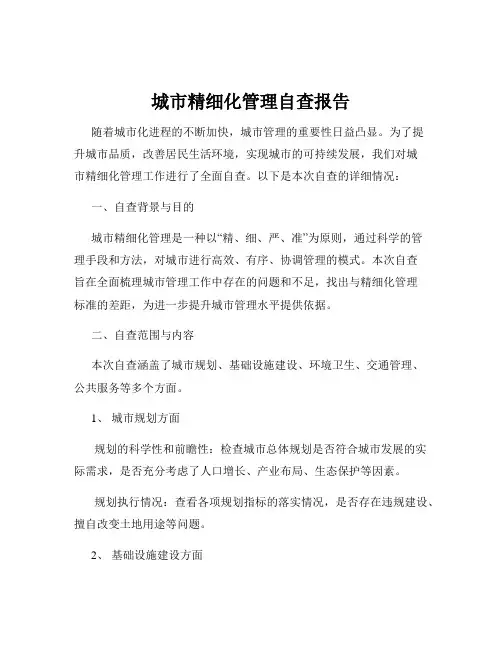 城市精细化管理自查报告