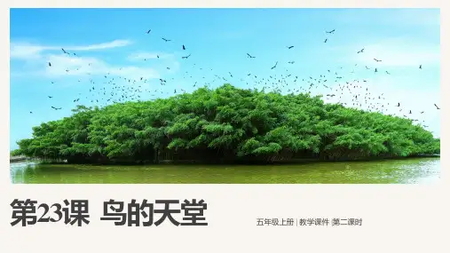 第23课《鸟的天堂》(第二课时)(课件)五年级语文上册 (统编版)