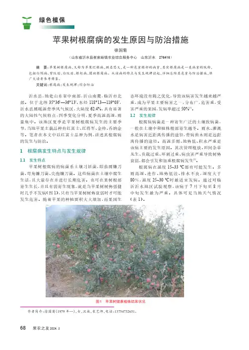 苹果树根腐病的发生原因与防治措施