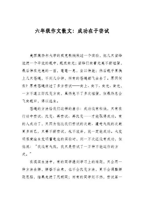 六年级作文散文：成功在于尝试