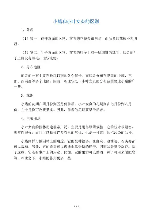 小蜡和小叶女贞的区别