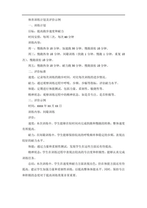 体育训练计划及评价的示例