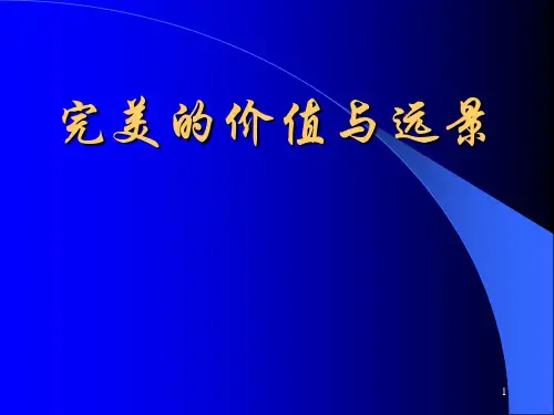 完美的价值与远景aPPT课件