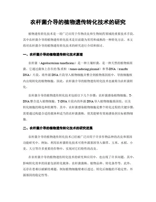 农杆菌介导的植物遗传转化技术的研究