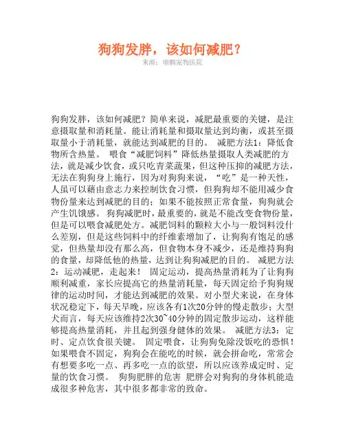 狗狗发胖,该如何减肥？