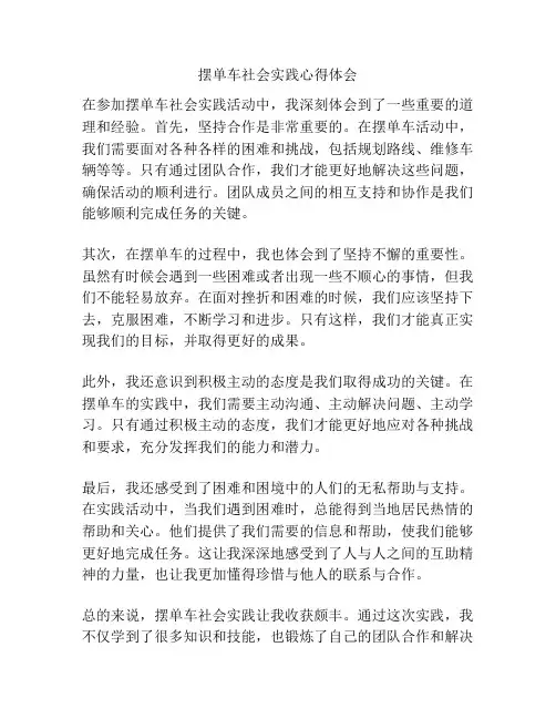 摆单车社会实践心得体会