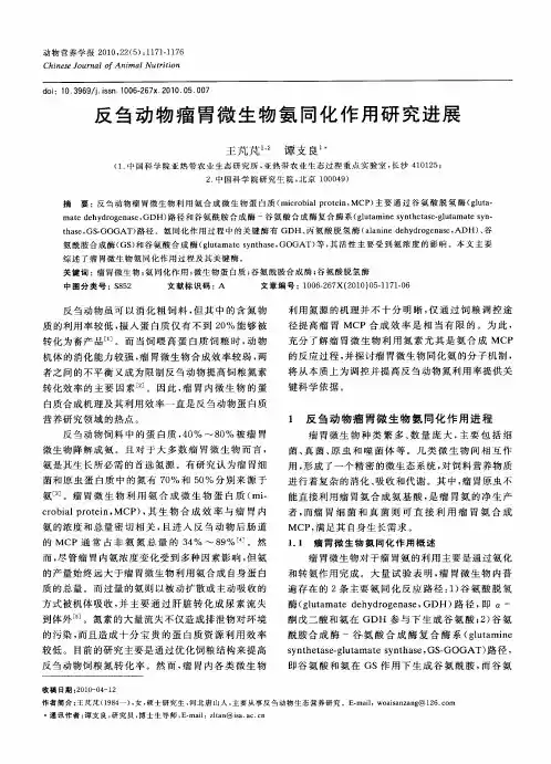 反刍动物瘤胃微生物氨同化作用研究进展