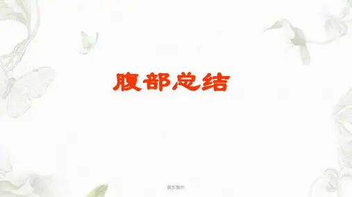 腹部解剖ppt课件