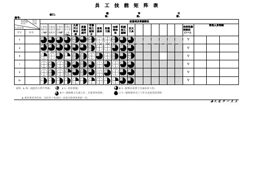 人员技能分布