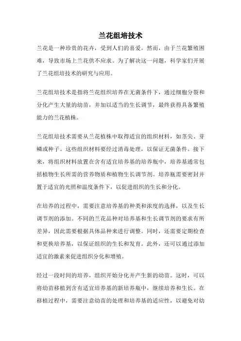 兰花组培技术