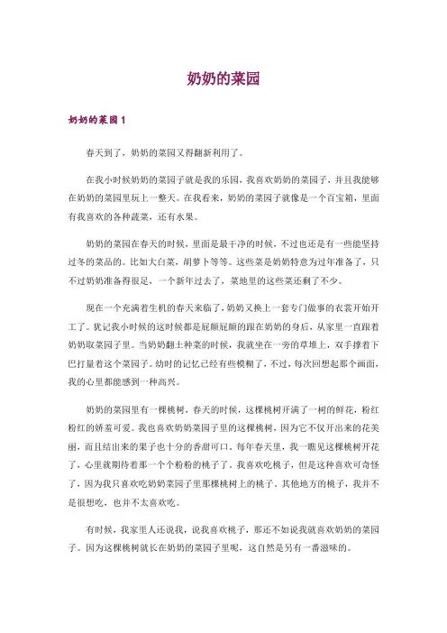 奶奶的菜园