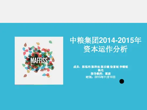 中粮集团资本分析报告解读