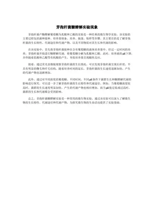 芽孢杆菌糖酵解实验现象
