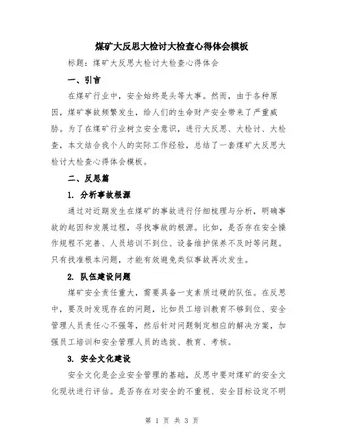 煤矿大反思大检讨大检查心得体会模板