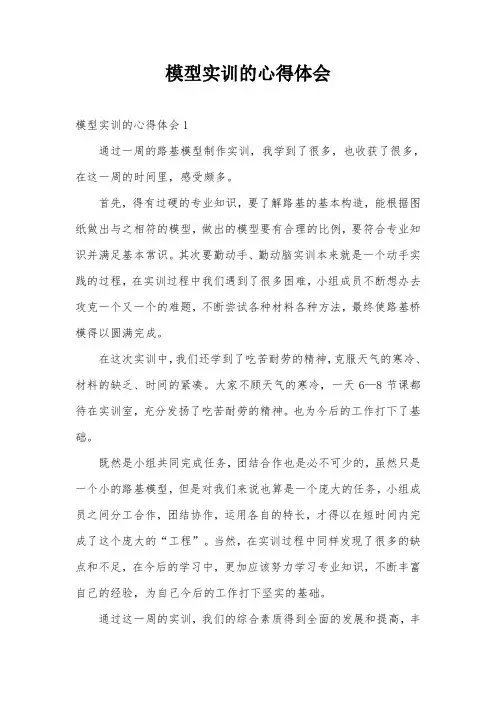 模型实训的心得体会