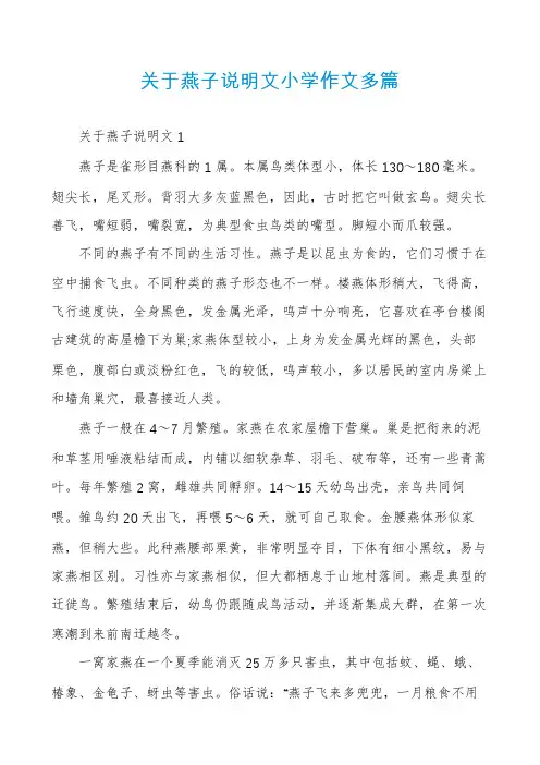 关于燕子说明文小学作文多篇