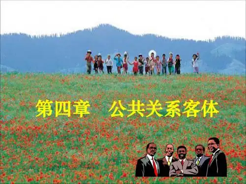 004公共关系客体