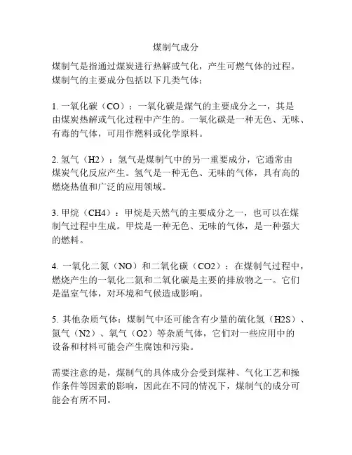 煤制气成分