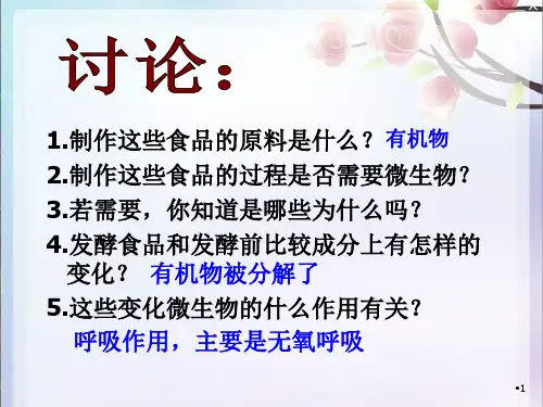 发酵食品的制作演示PPT