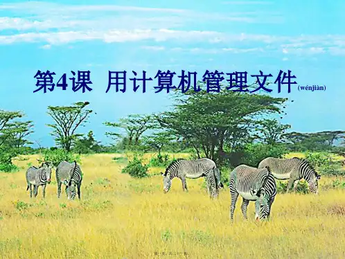七年级信息技术《资源管理器》课件