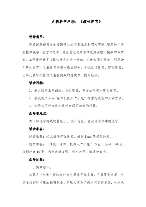 大班科学活动：《趣味迷宫》