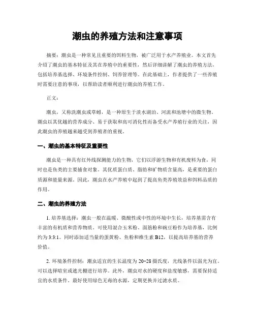 潮虫的养殖方法和注意事项