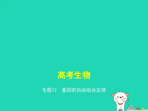 高考生物一轮复习专题12基因的自由组合定律获奖公开课优质课件