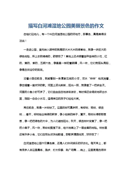 描写白河滩湿地公园美丽景色的作文
