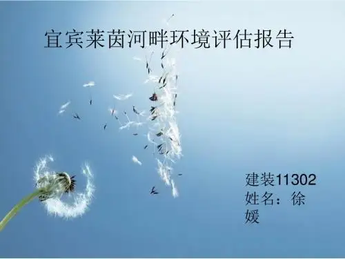 宜宾莱茵河畔环境评估报告