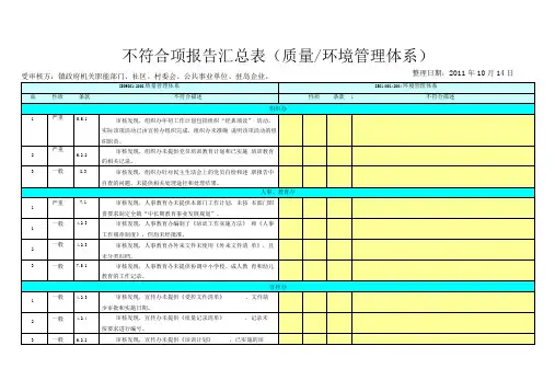 不符合项汇总表