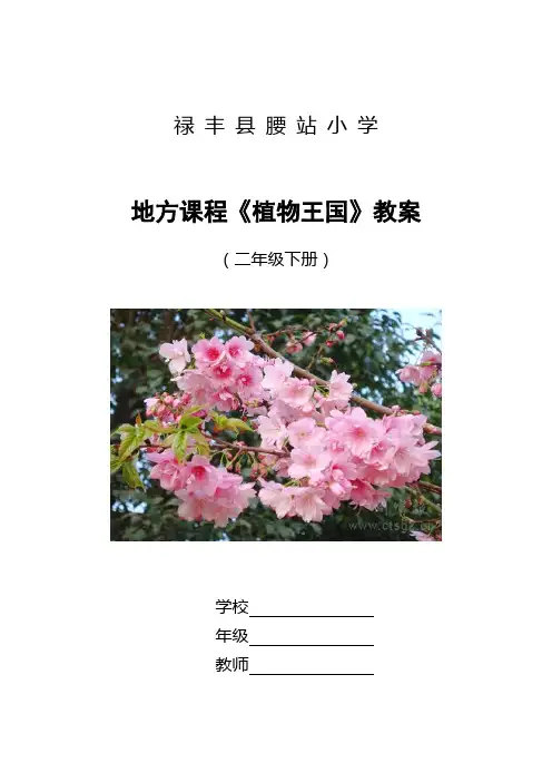 (完整版)地方课程二年级下册-腰站