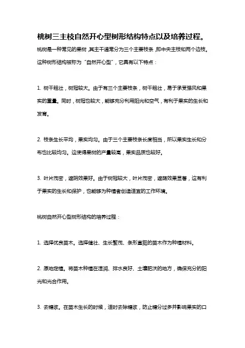 桃树三主枝自然开心型树形结构特点以及培养过程。