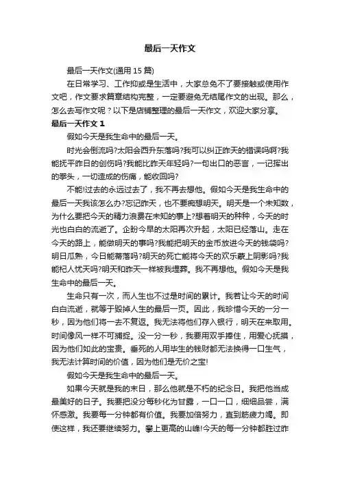 最后一天作文