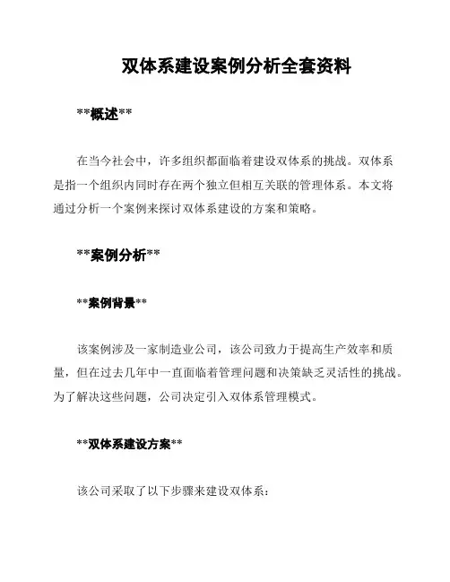 双体系建设案例分析全套资料