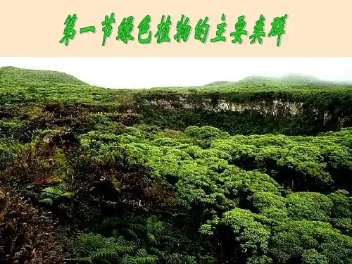 2.1.1绿色植物的主要类群