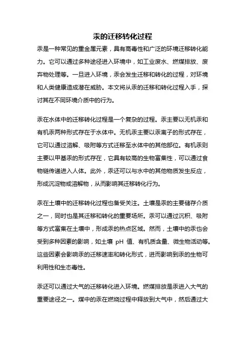 汞的迁移转化过程