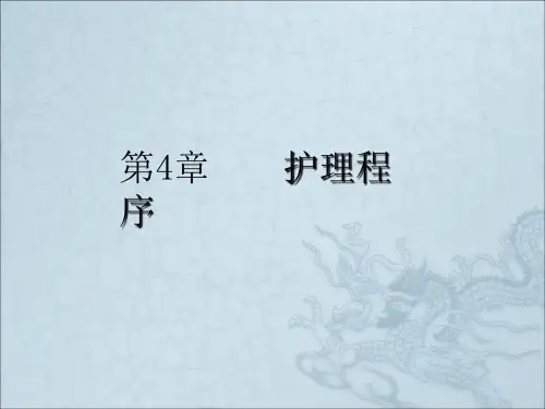 《护理程序》PPT课件