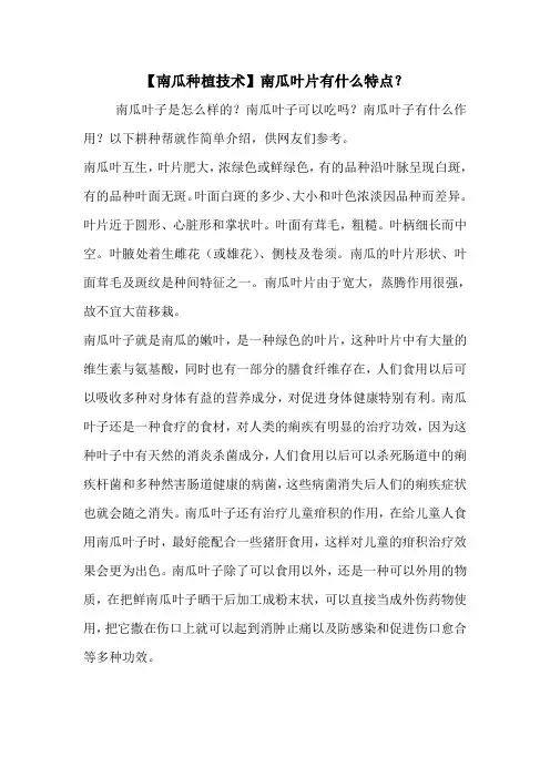 【南瓜种植技术】南瓜叶片有什么特点？