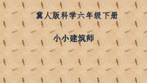 六年级下《专题研究 做一名小小建筑师》 冀人版(12页)